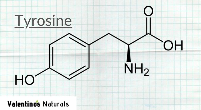l tyrosine nootropic review