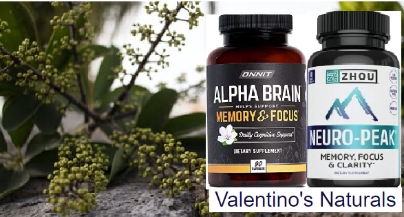 Alpha Brain vs Neuro Peak.