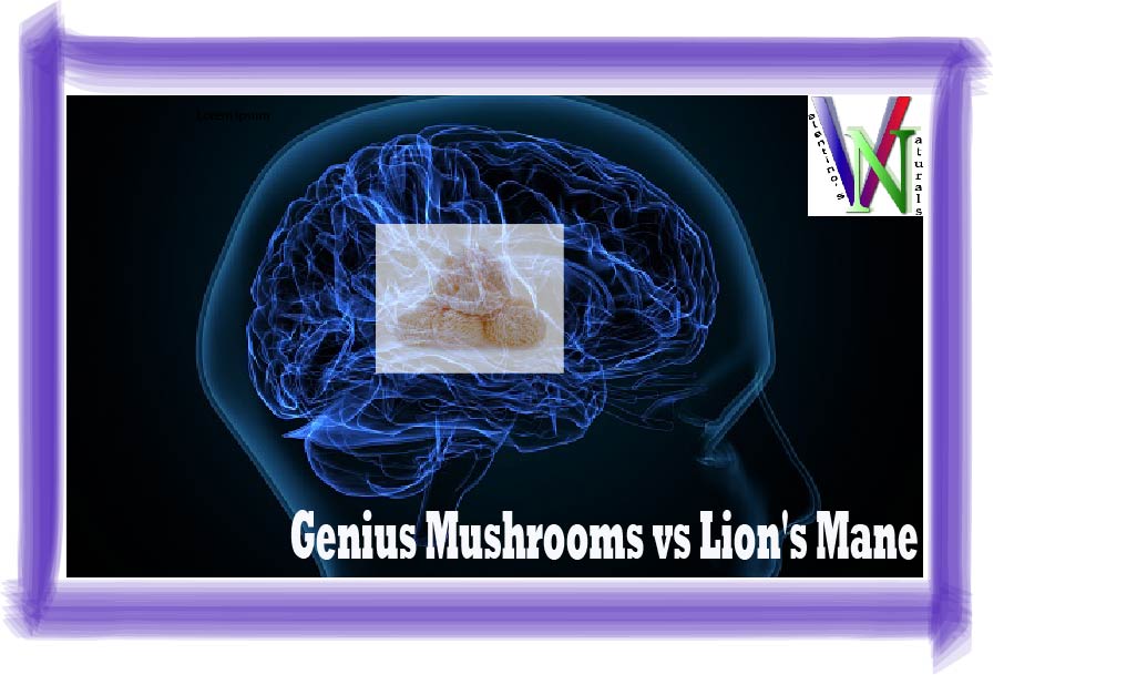 Genius Mushrooms vs Lion’s Mane